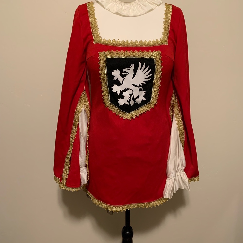 Cute Halloween Musketeers costume